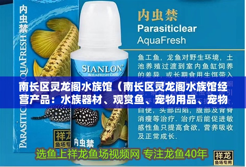 南長區靈龍閣水族館（南長區靈龍閣水族館經營產品：<strong><mark>水族器材</mark></strong>、觀賞魚、寵物用品、寵物用品、化妝品、化妝品、化妝品）