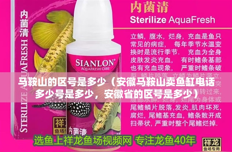 馬鞍山的區號是多少（安徽馬鞍山賣魚缸電話多少號是多少，安徽省的區號是多少）