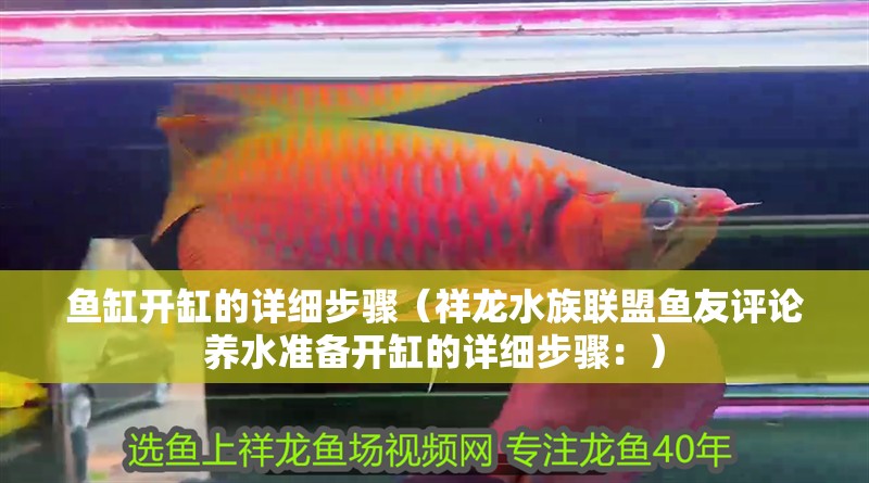 魚缸開缸的詳細步驟（祥龍水族聯盟魚友評論養水準備開缸的詳細步驟：）