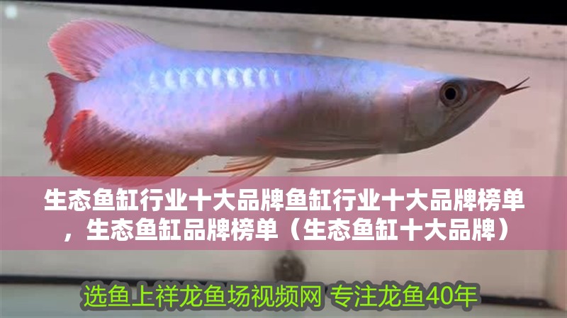 生態魚缸行業十大品牌魚缸行業十大品牌榜單，生態魚缸品牌榜單（生態魚缸十大品牌）
