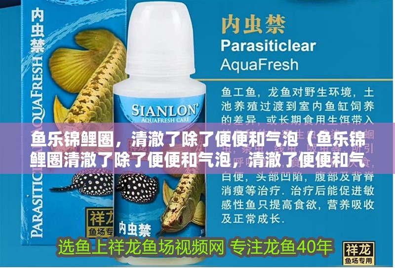 魚樂錦鯉圈，清澈了除了便便和氣泡（魚樂錦鯉圈清澈了除了便便和氣泡，清澈了便便和氣泡）