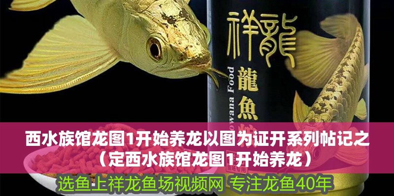 西水族館龍圖1開始養龍以圖為證開系列帖記之（定西水族館龍圖1開始養龍）
