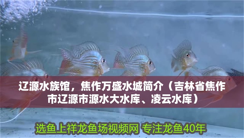 遼源水族館，焦作萬(wàn)盛水城簡(jiǎn)介（吉林省焦作市遼源市源水大水庫(kù)、凌云水庫(kù)）