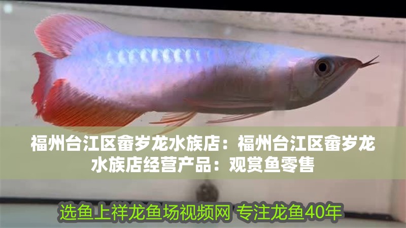 福州臺(tái)江區(qū)畬歲龍水族店：福州臺(tái)江區(qū)畬歲龍水族店經(jīng)營(yíng)產(chǎn)品：觀(guān)賞魚(yú)零售