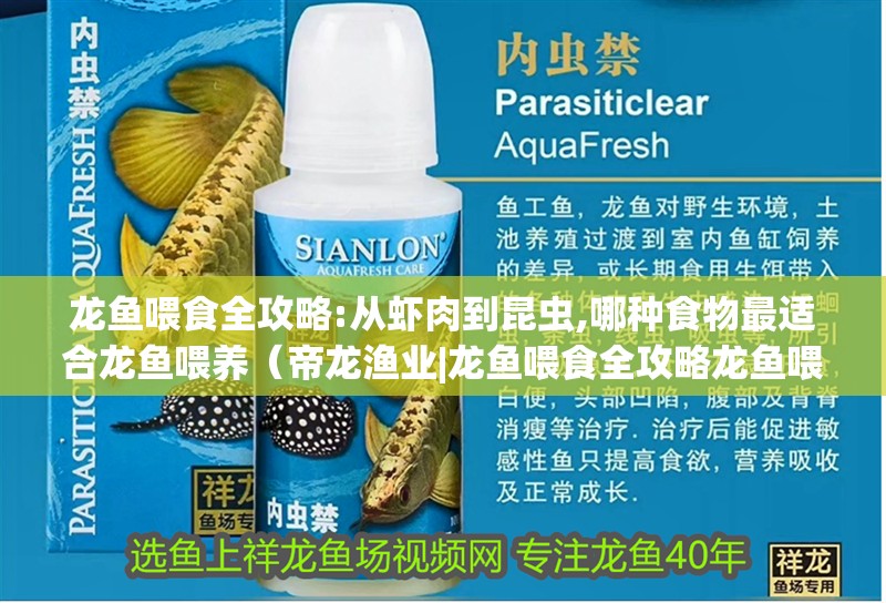 龍魚喂食全攻略:從蝦肉到昆蟲,哪種食物最適合龍魚喂養(yǎng)（帝龍漁業(yè)|龍魚喂食全攻略龍魚喂食全攻略）