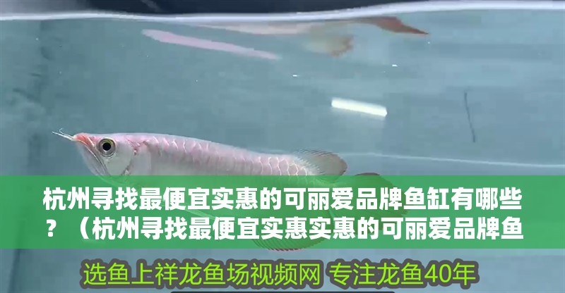 <strong><mark>杭州</mark></strong>尋找最便宜實惠的可麗愛品牌魚缸有哪些？（<strong><mark>杭州</mark></strong>尋找最便宜實惠實惠的可麗愛品牌魚缸）