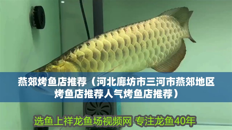 燕郊烤魚店推薦（河北廊坊市三河市燕郊地區(qū)烤魚店推薦人氣烤魚店推薦）