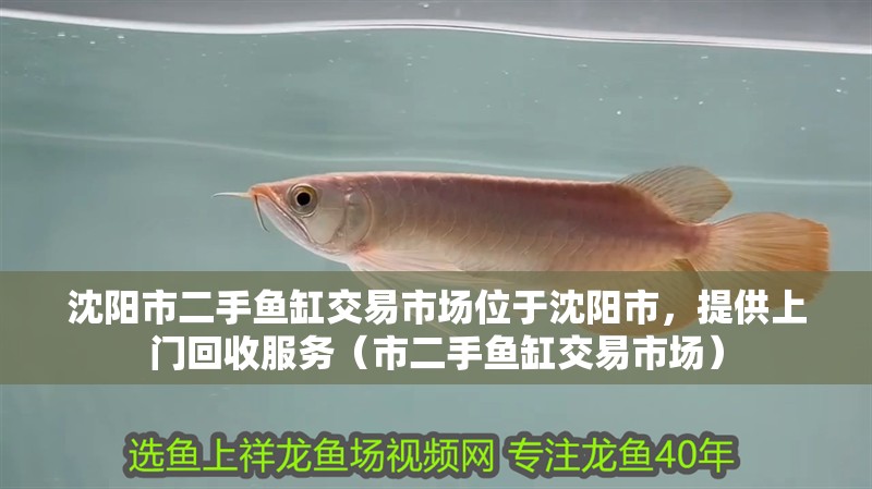 沈陽市二手魚缸交易市場位于沈陽市，提供上門回收服務（市二手魚缸交易市場）