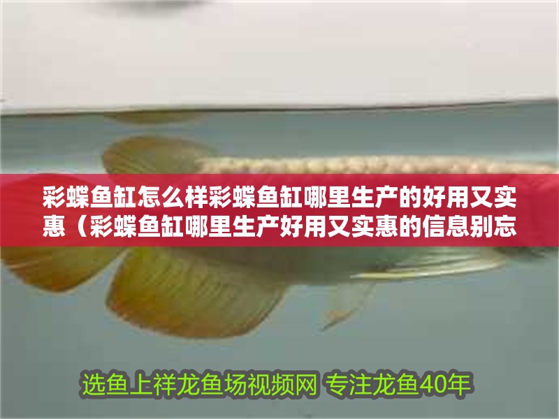 彩蝶魚缸怎么樣彩蝶魚缸哪里生產(chǎn)的好用又實(shí)惠（彩蝶魚缸哪里生產(chǎn)好用又實(shí)惠的信息別忘了在本站進(jìn)行查找）