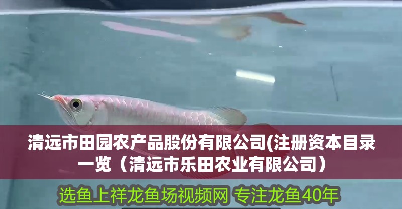 清遠市田園農產品股份有限公司(注冊資本目錄一覽（清遠市樂田農業有限公司）