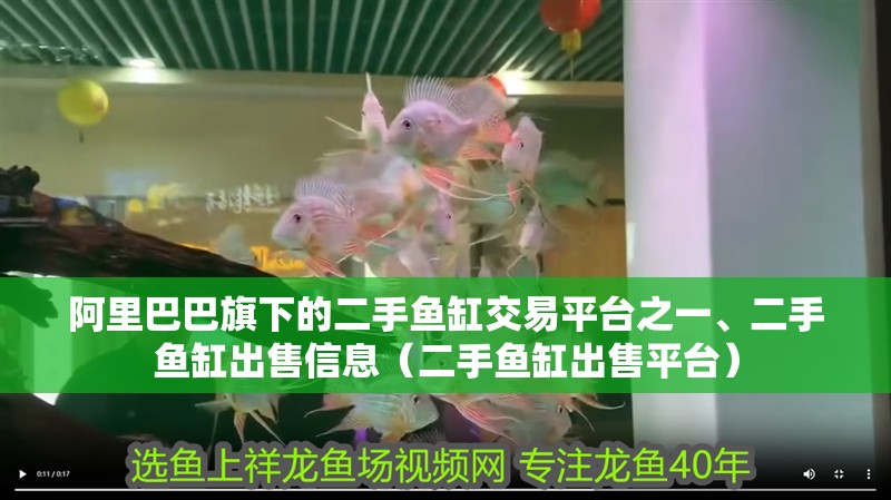 阿里巴巴旗下的二手魚缸交易平臺之一、二手魚缸出售信息（二手魚缸出售平臺）