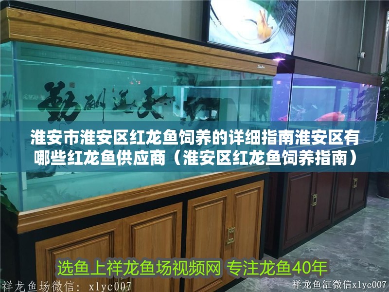 淮安市淮安區(qū)紅龍魚(yú)飼養(yǎng)的詳細(xì)指南淮安區(qū)有哪些紅龍魚(yú)供應(yīng)商（淮安區(qū)紅龍魚(yú)飼養(yǎng)指南）