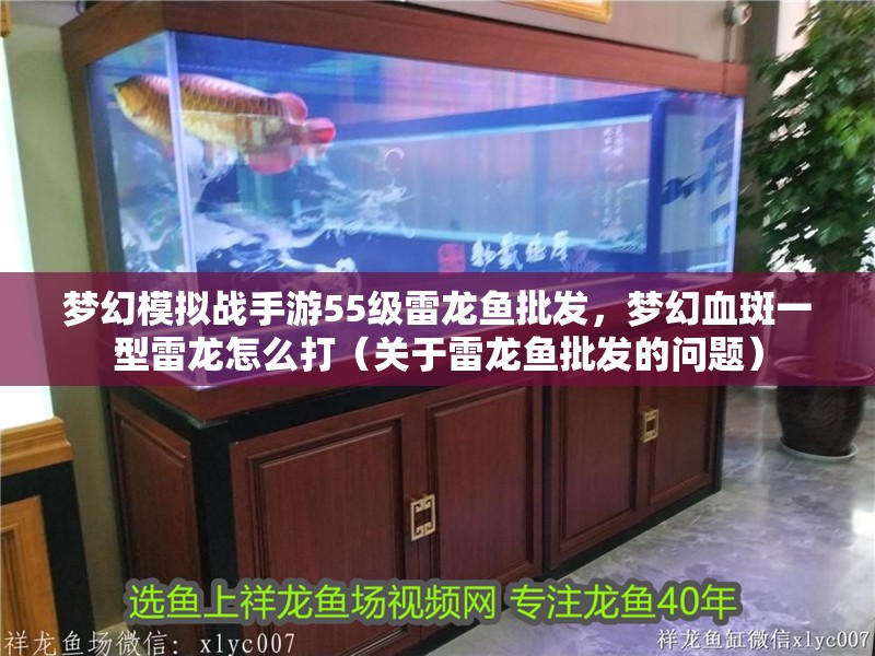 夢幻模擬戰手游55級雷龍魚批發，夢幻血斑一型雷龍怎么打（關于雷龍魚批發的問題）