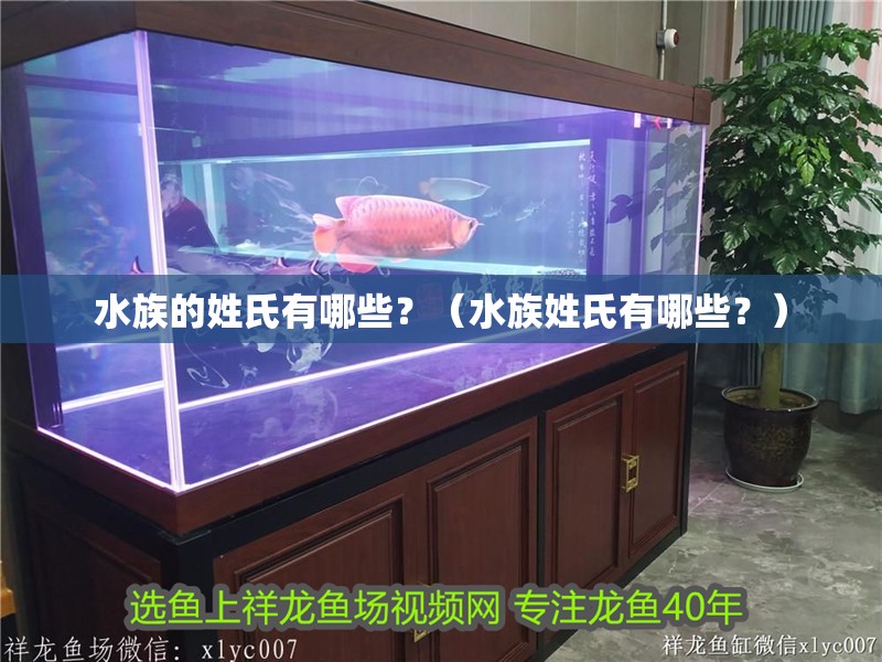 水族的姓氏有哪些？（水族姓氏有哪些？）