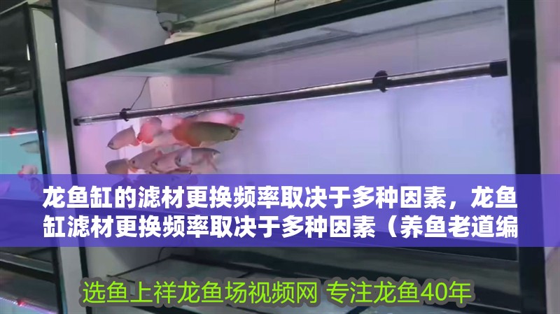 龍魚缸的濾材更換頻率取決于多種因素，龍魚缸濾材更換頻率取決于多種因素（養魚老道編輯，龍魚缸中濾材擺放順序，龍魚缸中濾材清洗時需要注意什么？）