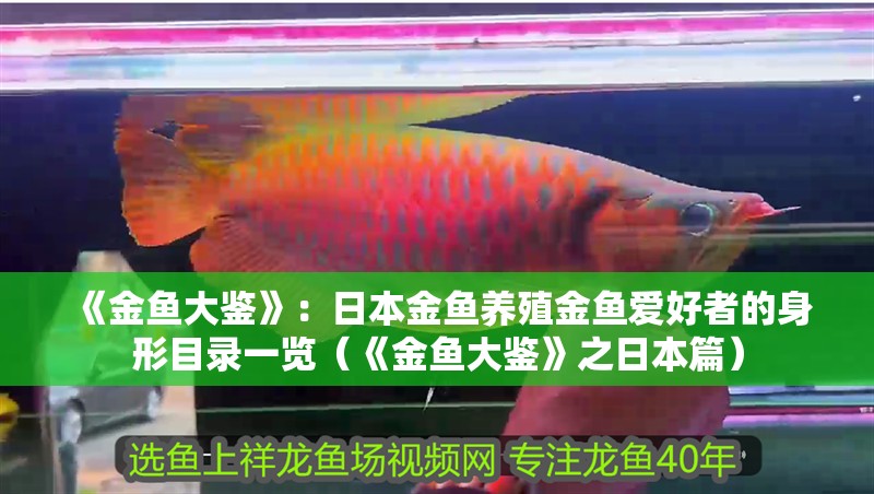 《金魚大鑒》：日本金魚養殖金魚愛好者的身形目錄一覽（《金魚大鑒》之日本篇）