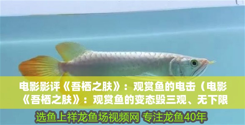 電影影評《吾棲之膚》：觀賞魚的電擊（電影《吾棲之膚》：觀賞魚的變態(tài)毀三觀、無下限的電影）