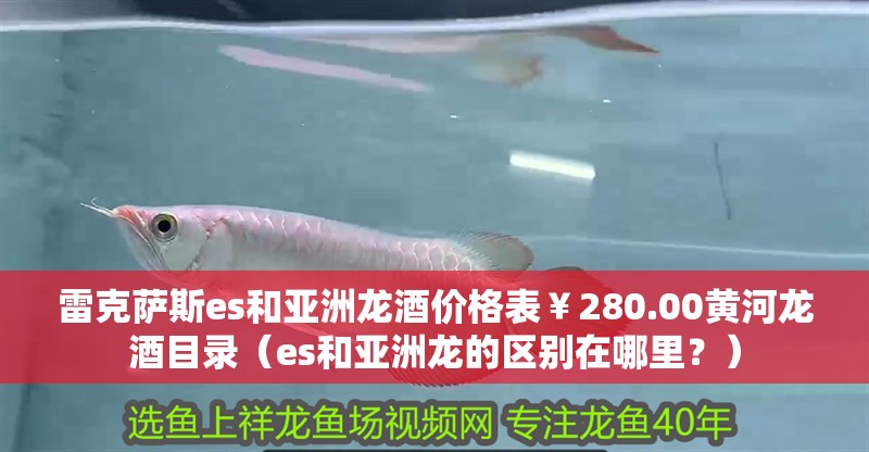 雷克薩斯es和亞洲龍酒價格表￥280.00黃河龍酒目錄（es和亞洲龍的區別在哪里？）