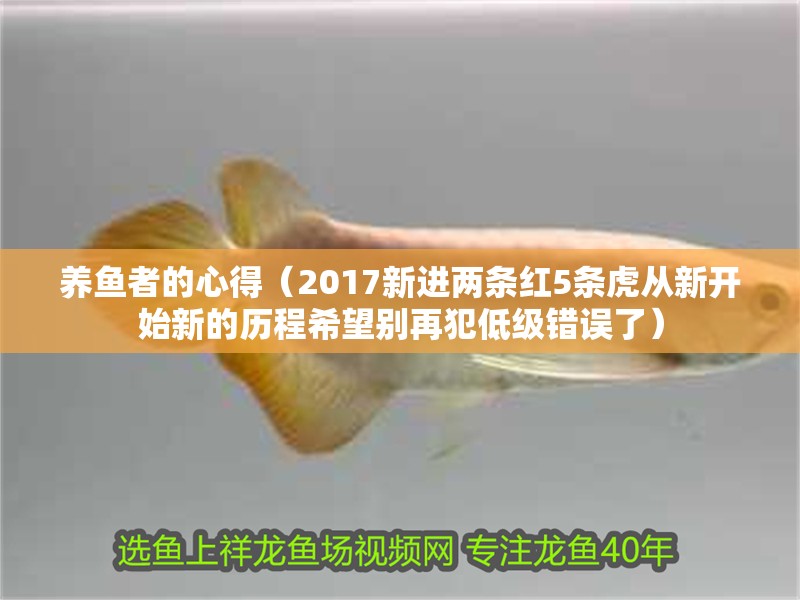 養(yǎng)魚者的心得（2017新進(jìn)兩條紅5條虎從新開始新的歷程希望別再犯低級(jí)錯(cuò)誤了）