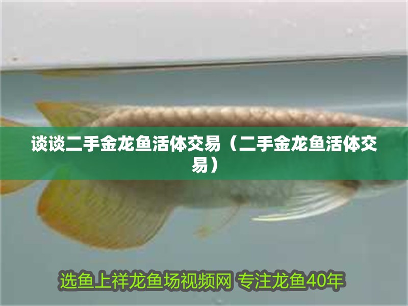 談談二手金龍魚活體交易（二手金龍魚活體交易）