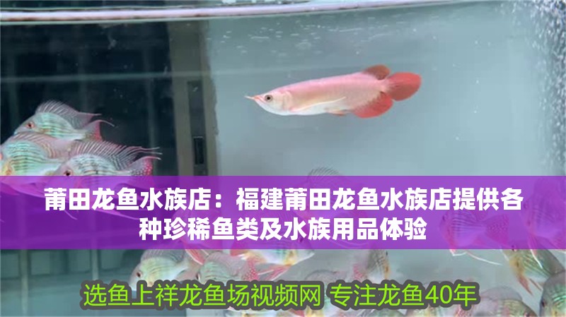 莆田龍魚水族店：<strong><mark>福建</mark></strong>莆田龍魚水族店提供各種珍稀魚類及水族用品體驗