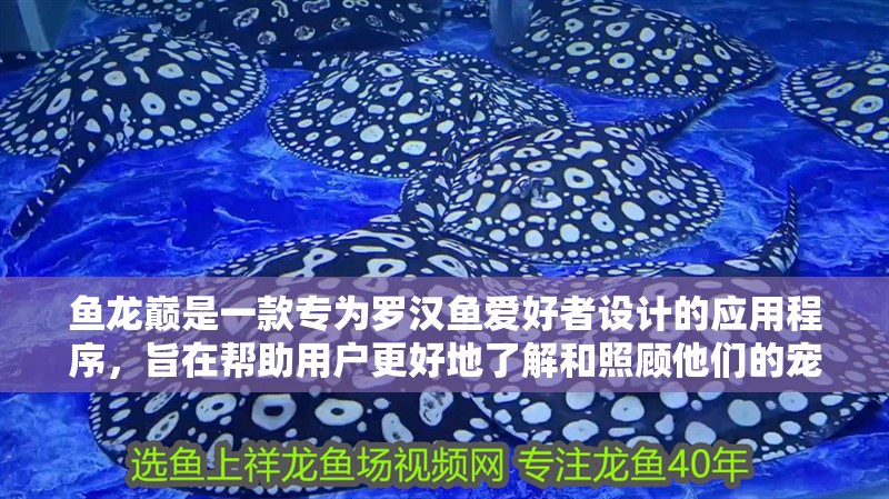 魚龍巔是一款專為羅漢魚愛好者設計的應用程序，旨在幫助用戶更好地了解和照顧他們的寵物（祥龍水族聯盟魚友評論）