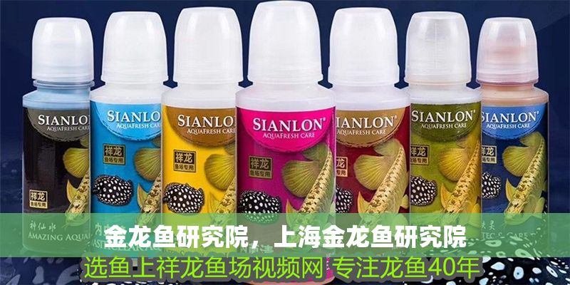 金龍魚研究院，上海金龍魚研究院