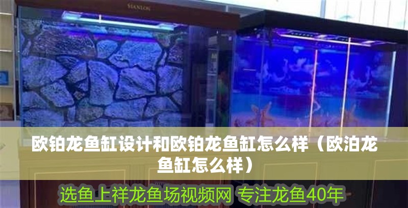 歐鉑龍魚缸設計和歐鉑龍魚缸怎么樣（歐泊龍魚缸怎么樣）