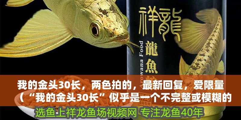 我的金頭30長，兩色拍的，最新回復，愛限量（“我的金頭30長”似乎是一個不完整或模糊的表述） 我的金頭30長，兩色拍的，最新回復，愛限量（“我的金頭30長”似乎是一個不完整或模糊的表述） 觀賞魚百科 第2張