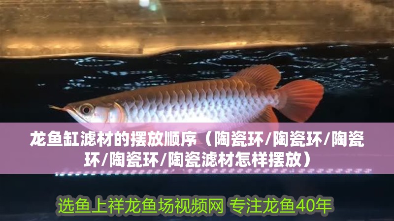 龍魚缸濾材的擺放順序（陶瓷環(huán)/陶瓷環(huán)/陶瓷環(huán)/陶瓷環(huán)/陶瓷濾材怎樣擺放）