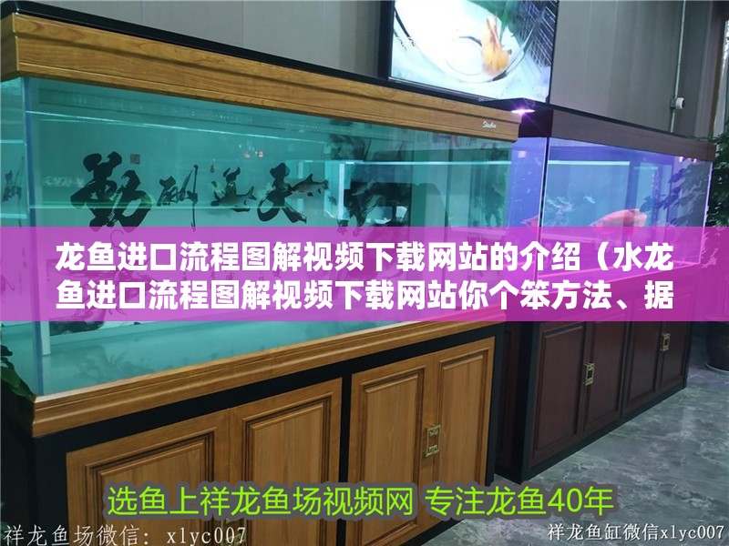 龍魚進口流程圖解視頻下載網站的介紹（水龍魚進口流程圖解視頻下載網站你個笨方法、據龍魚進口流程圖解）