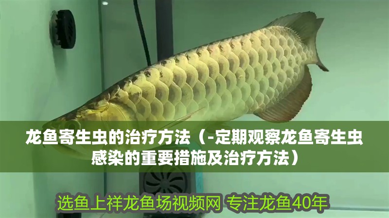 龍魚寄生蟲的治療方法（-定期觀察龍魚寄生蟲感染的重要措施及治療方法）