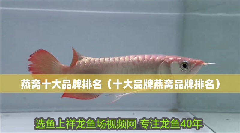 燕窩十大品牌排名（十大品牌燕窩品牌排名）