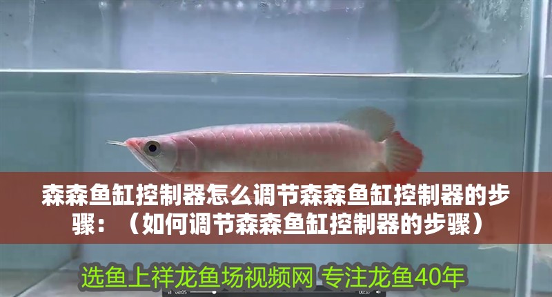 森森魚缸控制器怎么調節森森魚缸控制器的步驟：（如何調節森森魚缸控制器的步驟）