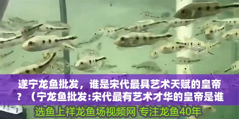 遂寧龍魚批發，誰是宋代最具藝術天賦的皇帝？（寧龍魚批發:宋代最有藝術才華的皇帝是誰）