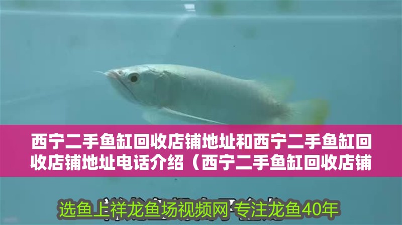 西寧二手魚缸回收店鋪地址和西寧二手魚缸回收店鋪地址電話介紹（西寧二手魚缸回收店鋪地址）