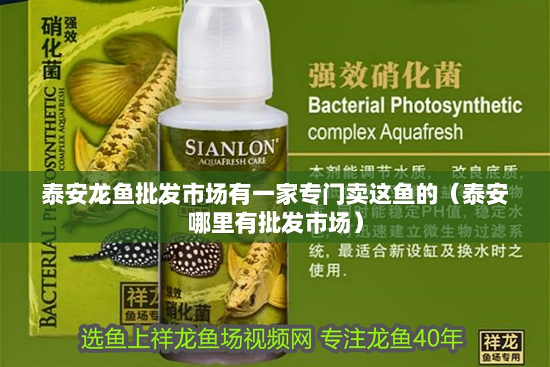 泰安龍魚批發市場有一家專門賣這魚的（泰安哪里有批發市場）