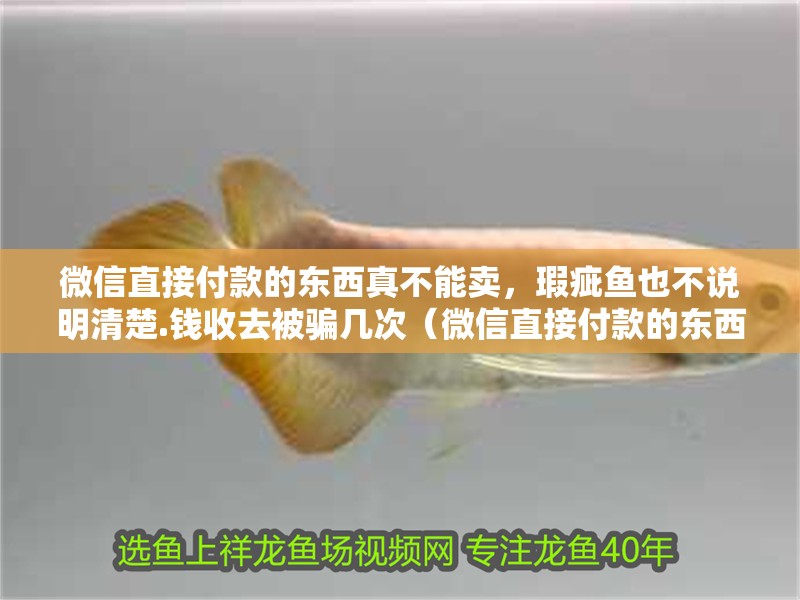 微信直接付款的東西真不能賣，瑕疵魚也不說明清楚.錢收去被騙幾次（微信直接付款的東西真不能賣瑕疵魚也不說明清楚）
