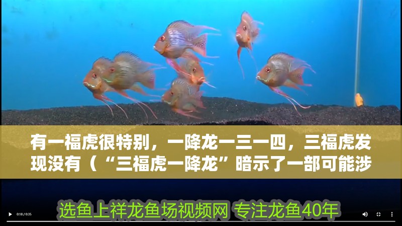 有一福虎很特別，一降龍一三一四，三福虎發(fā)現(xiàn)沒有（“三福虎一降龍”暗示了一部可能涉及中國(guó)傳統(tǒng)文化中“三福”與“一降龍”的故事情節(jié)）