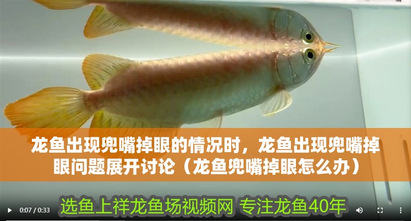 龍魚出現兜嘴掉眼的情況時，龍魚出現兜嘴掉眼問題展開討論（龍魚兜嘴掉眼怎么辦）