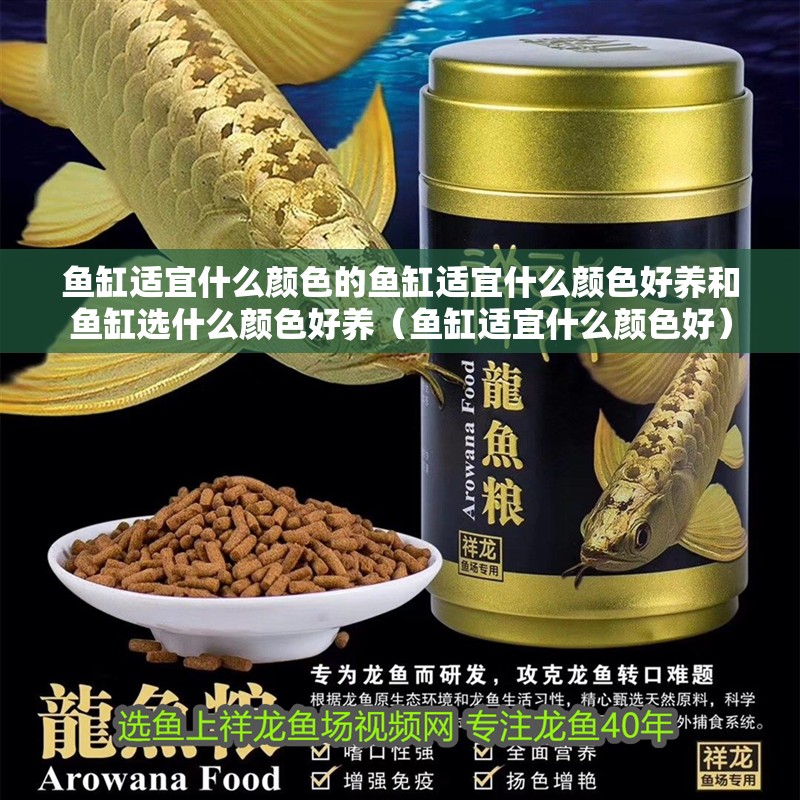 魚缸適宜什么顏色的魚缸適宜什么顏色好養(yǎng)和魚缸選什么顏色好養(yǎng)（魚缸適宜什么顏色好）