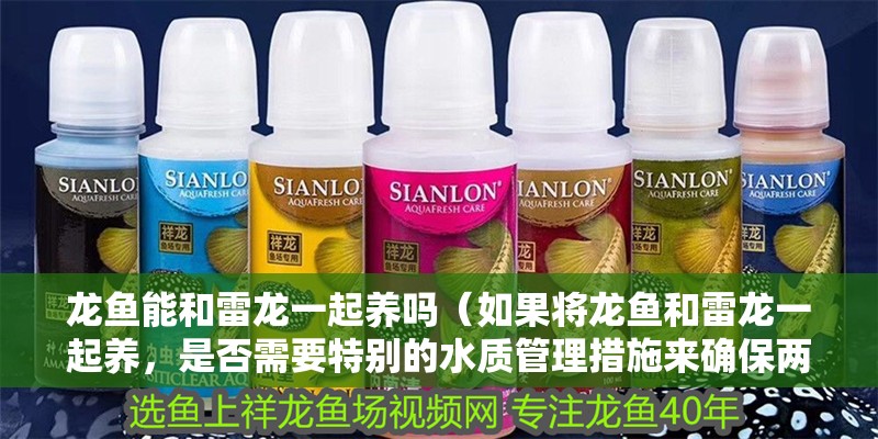 龍魚能和雷龍一起養嗎（如果將龍魚和雷龍一起養，是否需要特別的水質管理措施來確保兩者的健康？）