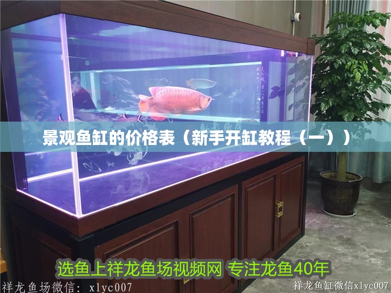 景觀魚缸的價格表（新手開缸教程（一））
