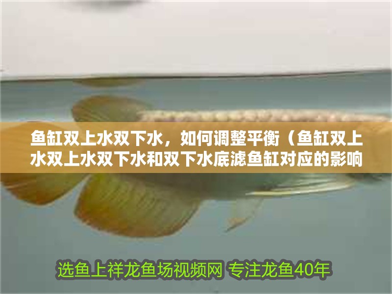 魚缸雙上水雙下水，如何調(diào)整平衡（魚缸雙上水雙上水雙下水和雙下水底濾魚缸對應(yīng)的影響）