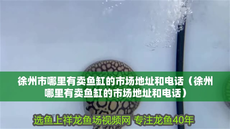 徐州市哪里有賣魚缸的市場(chǎng)地址和電話（徐州哪里有賣魚缸的市場(chǎng)地址和電話）