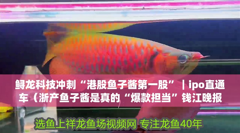 鱘龍科技沖刺“港股魚(yú)子醬第一股”｜ipo直通車(chē)（浙產(chǎn)魚(yú)子醬是真的“爆款擔(dān)當(dāng)”錢(qián)江晚報(bào)凈利潤(rùn)率超貴州茅臺(tái)）