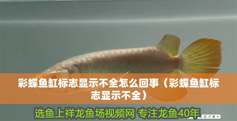 彩蝶魚缸標志顯示不全怎么回事（彩蝶魚缸標志顯示不全）