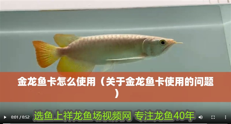 金龍魚卡怎么使用（關于金龍魚卡使用的問題）