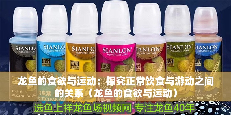 龍魚的食欲與運(yùn)動：探究正常飲食與游動之間的關(guān)系（龍魚的食欲與運(yùn)動）