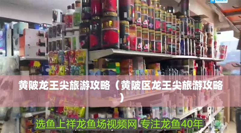 黃陂龍王尖旅游攻略（黃陂區(qū)龍王尖旅游攻略）